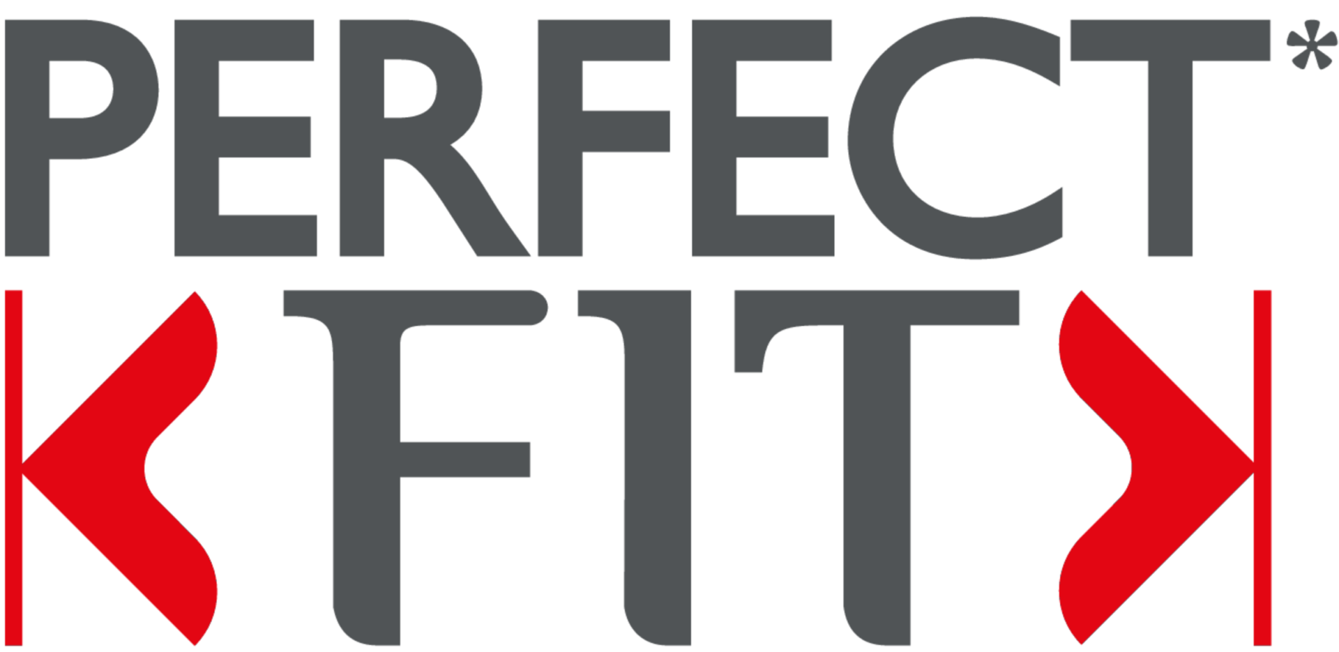 logo_perfect_fit_schmidt